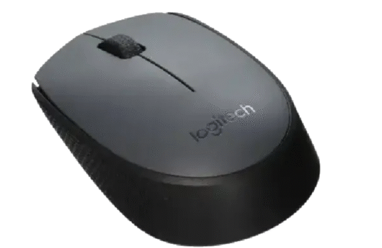 Logitech M170 Wireless Optical Mouse